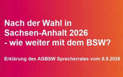 Nach der Wahl in Sachsen-Anhalt 2026 – wie weiter mit dem BSW?